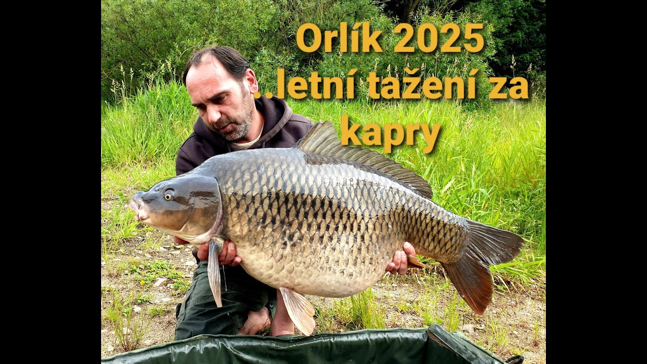 Mafia Baits TV  - Letní výprava za Orlickými kapry.