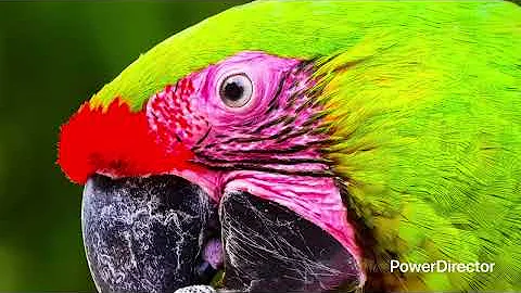 Project 12-07(1)_Full HD 1080p.mp4