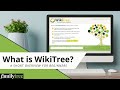 What is wikitree  a quick tour for beginners