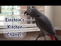 Einstein's Kitchen Chatter