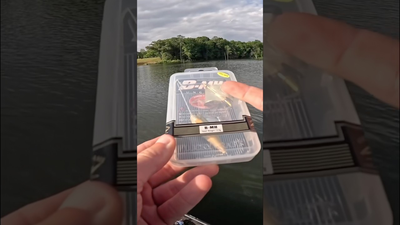 This Lure Is DISCONTINUED…