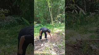 Garden Maintenance Basics: Clearing Grass and Cutting Bamboo