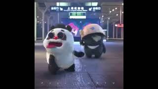 Cute Panda funny dance status ?| shorts