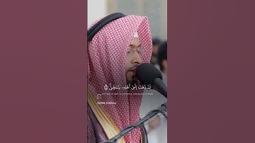 ما تيسر من سورة القيامة|القارئ الشيخ أحمد عبدالعزيز النفيس #القرآن_الكريم #احمد_النفيس #سورة_القيامة