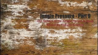 Jungle Pressure - Part 9 (Old School Style Jungle/Drum & Bass - mixed by Tobsen Sounds)