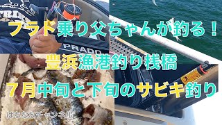 プラド乗り父ちゃんのサビキ釣り　7月中旬と下旬の豊浜漁港釣り桟橋の二日間