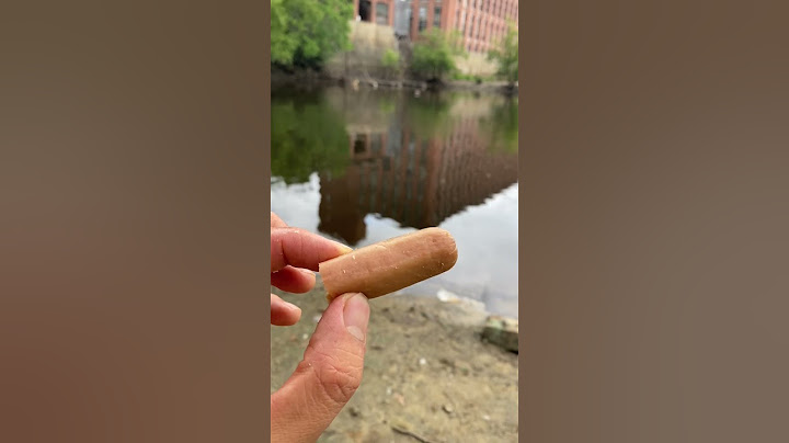 Learning how to catch CATFISH in Massachusetts (Summer Catfishing)