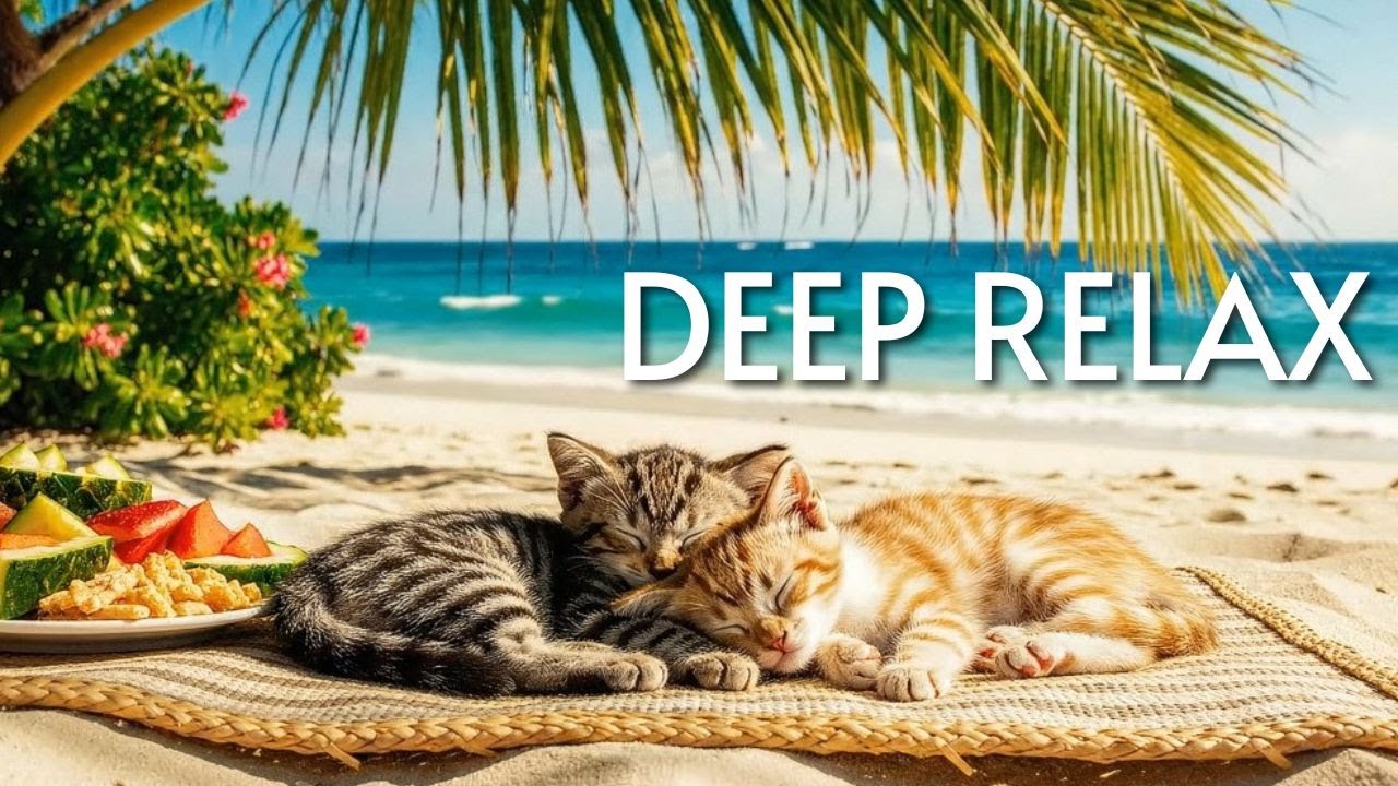🐱 Adorable Kittens Rest by the Sea | Soothing Cat Purrs & Tropical Sounds for Meditation
