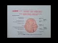 Scalp Anatomy#mbbs #bpth #anatomy #medicalstudent
