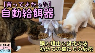 【買ってよかった】猫のために自動給餌器を購入しましたーWe bought au automatic pet feeder for our cats