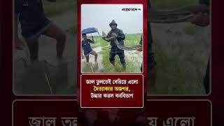 জাল তুলতেই বেরিয়ে এলো দৈত্যাকার অজগর, উদ্ধার করল বনবিভাগ | Protidiner Bangladesh
