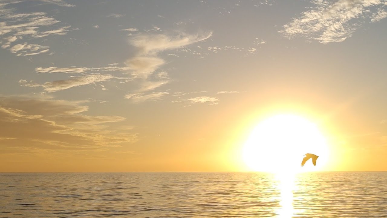 🎵: Buena Vista Social Club Presents: Ibraham Ferrer 