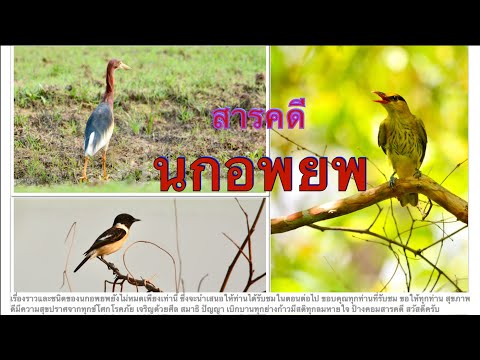 สารคดี นกอพยพ EP1