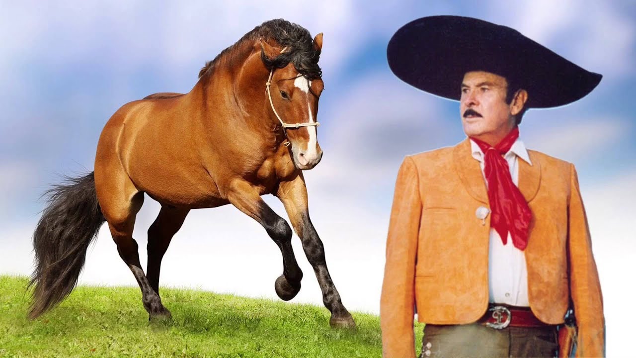 EL CABALLO BAYO ANTONIO AGUILAR YouTube EL CABALLO BAYO ANTONIO AGUILAR YouTube