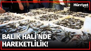 sezonun acilmasiyla gurpinar balik hali nde ilk mezatlar gerceklesti youtube