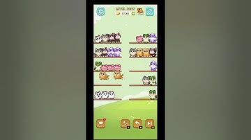 Cat Sort Level 2009 #puzzle_daddy