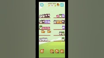 Cat Sort Level 2009 #puzzle_daddy