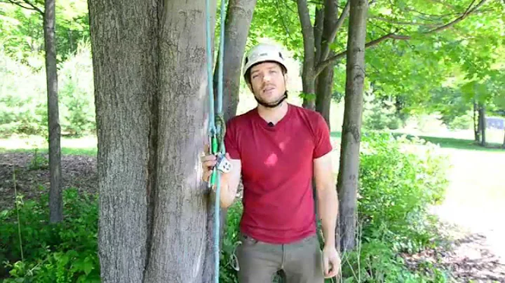 Bartlett Arborist Supply - Hitch Climber Kit