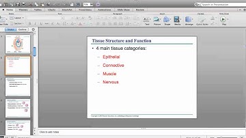 Animal Form and Function: Part 1/2