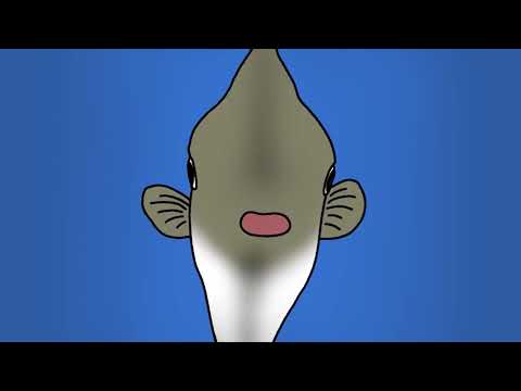 [FULL] 개복치 | Sunfish