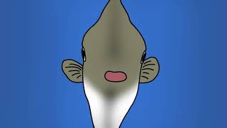 [FULL] 개복치 | Sunfish