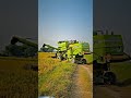 Farming 🌾🚜#trending#youtubeshorts#viral#shorts #farming#farmer#punjabi #ytshorts#viral