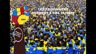 RDC: LA REVOLUTION SE PASSE DANS  LA RUE! KINSHASA, LA BALLE EST DANS TON CAMP! ARTICLE 64!