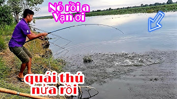 TRỞ LẠI RỪNG TRÀM,CÙNG VẠN NGUYỄN, 3 RÙA, ĐẠI CHIẾN VỚI LOÀI CÁ HUNG DỮ NHẤT  - FISHING