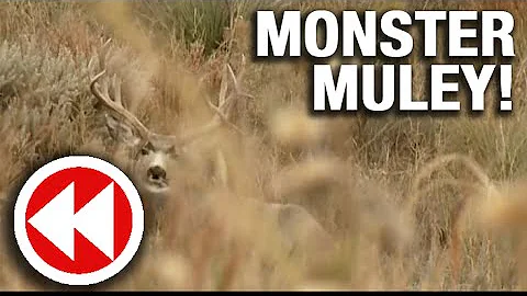Realtre Rewind David Colorado Mule Deer Hunt