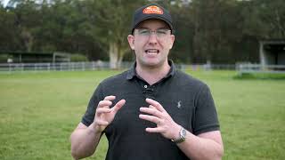 Download Lagu Shalaa x Darby's Bid Colt MP3