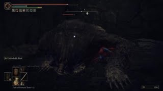 ELDEN RING™ - Bear Ploishing @Quadraxis14