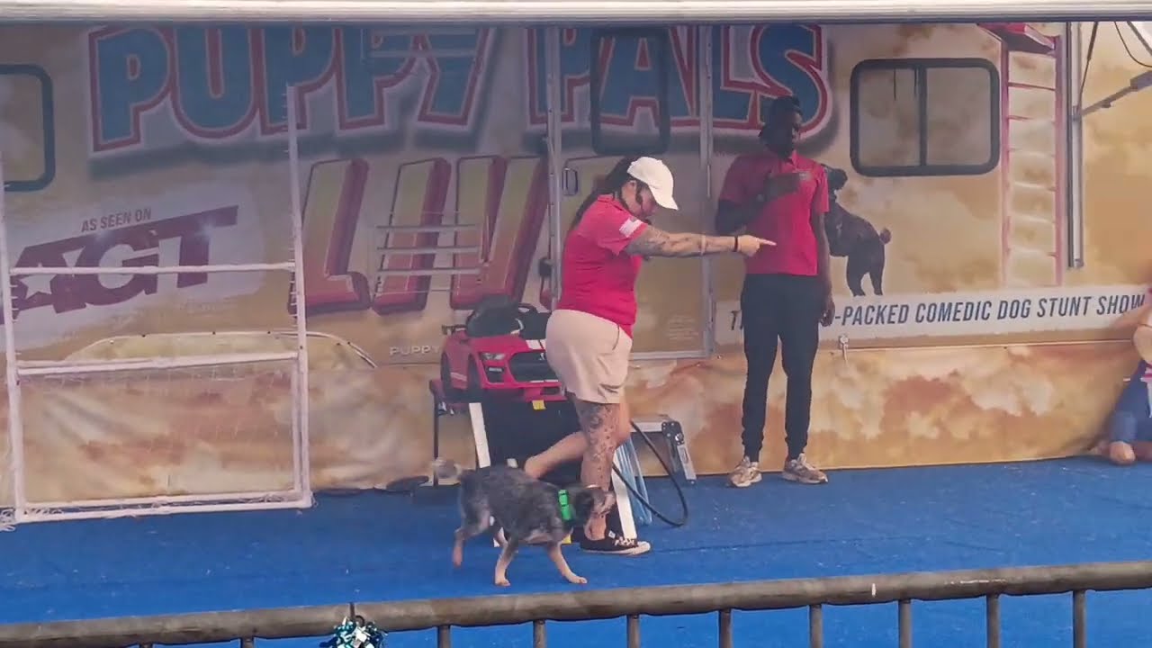 Puppyページです。 Puppy Pals Presents: Road Trip Mayhem | 8:30pm Show Part 1 | July