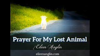 Prayer For A Lost Animal  Find A Lost Pet