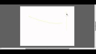 Selection Tool Flash Net Worth