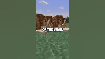 Snail Mod from Autumnity