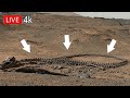 NASA Mars Perseverance Rover Recently Released Mars Latest Video | New Mars Photos: 1787