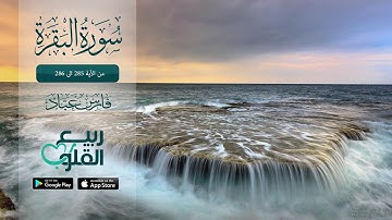 أواخر سورة البقرة من الآية 285 الى 286 | القارئ فارس عباد