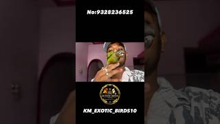Fully train bird 🦅.  ￼❤️🦜. #birds #vlog #ytshorts