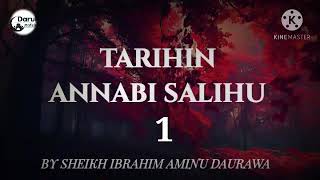 TARIHIN ANNABI SALIHU 01 BY SHEIKH IBRAHIM AMINU DAURAWA screenshot 5