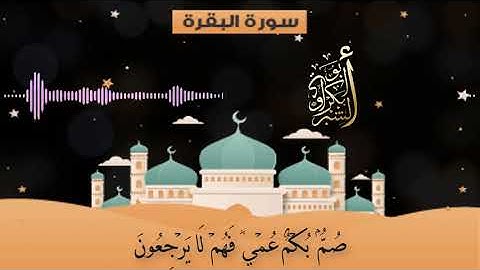 سورة البقرة |الوجه 4|بصوت أبو بكر الشبراوي من 17 الى 24