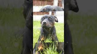 I Cant Believe Your Gone Molly