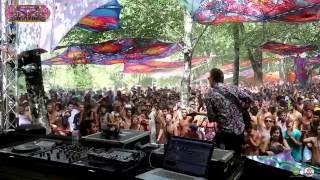 Cosmosis Live @ Insomnia Festival 2016 (Samaveda) Full HD