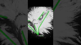 Mogger📈☠️ #ytshorts #edit #shorts