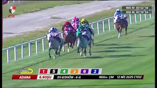 Kv-8 Kati Zamani İçi̇n Kisa Uzun Çi̇m Kum Senteti̇k Şehi̇r Fark Etmi̇yor