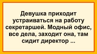 Самые Смешные Анекдоты! Отличная Подборка Анекдотов! Позитив! Юмор! Смех!