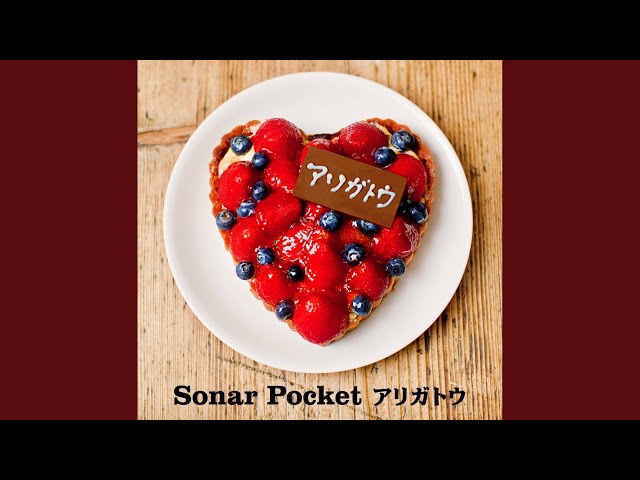 アリガトウSonar Pocket