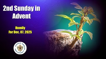 2nd Sunday of Advent/ Year A/ Homily for Dec. 07. 2025