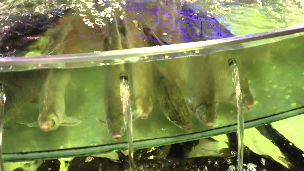 Best Seafood Restaurants Guangzhou Best Seafood Restaurants Guangzhou