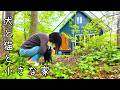 警察に逮捕されるかと思った/北海道の森の中でひっそり暮らす