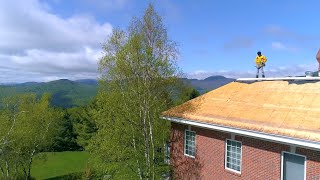 Drone television | Dreamlike Pictures Video Production